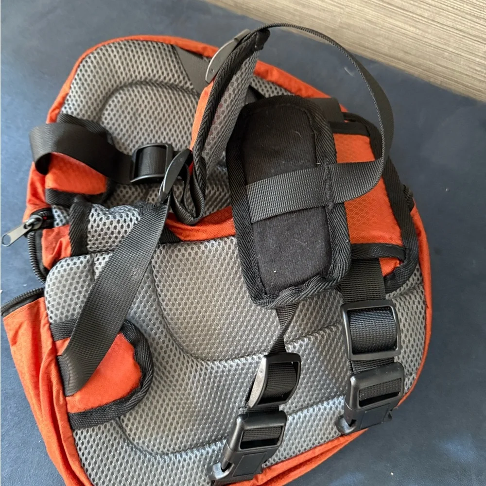 Black and Orange Dog Bag